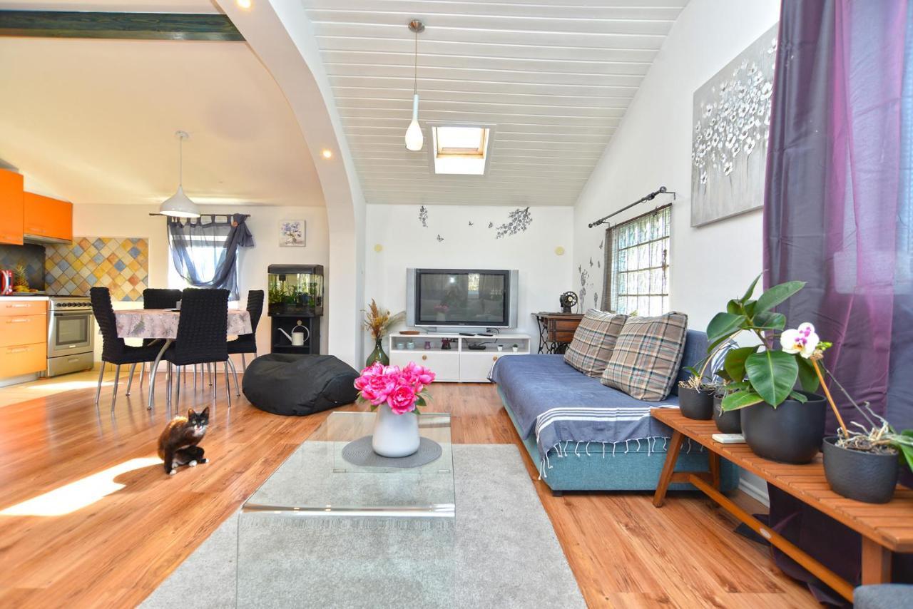 Apartment Sasa 1113 Fažana Dış mekan fotoğraf